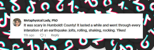 A fan comments on the earthquake whose epicenter was Ferndale in California, from a post dated December 5, 2024 | Source: TikTok/@dailymail