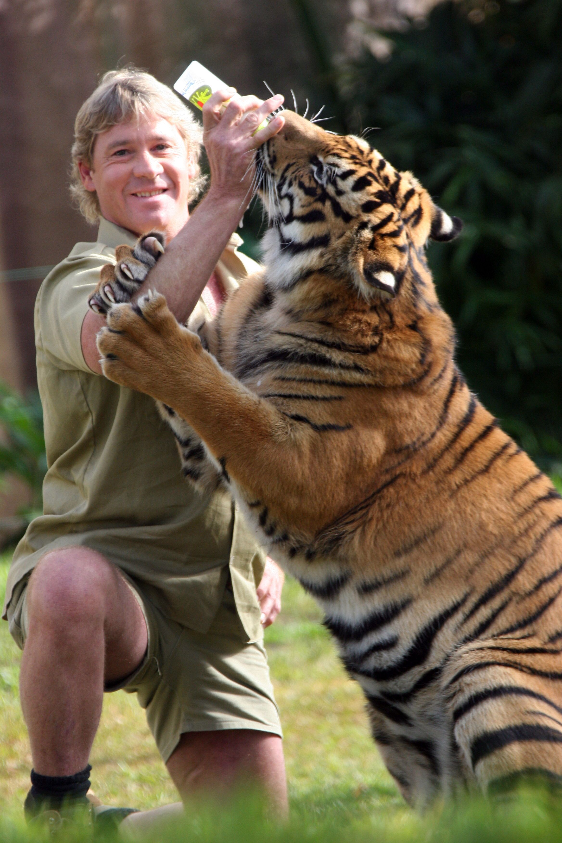 Steve Irwin bottle-feeds a tiger at Australia Zoo June 1, 2005 | Source: Getty Images