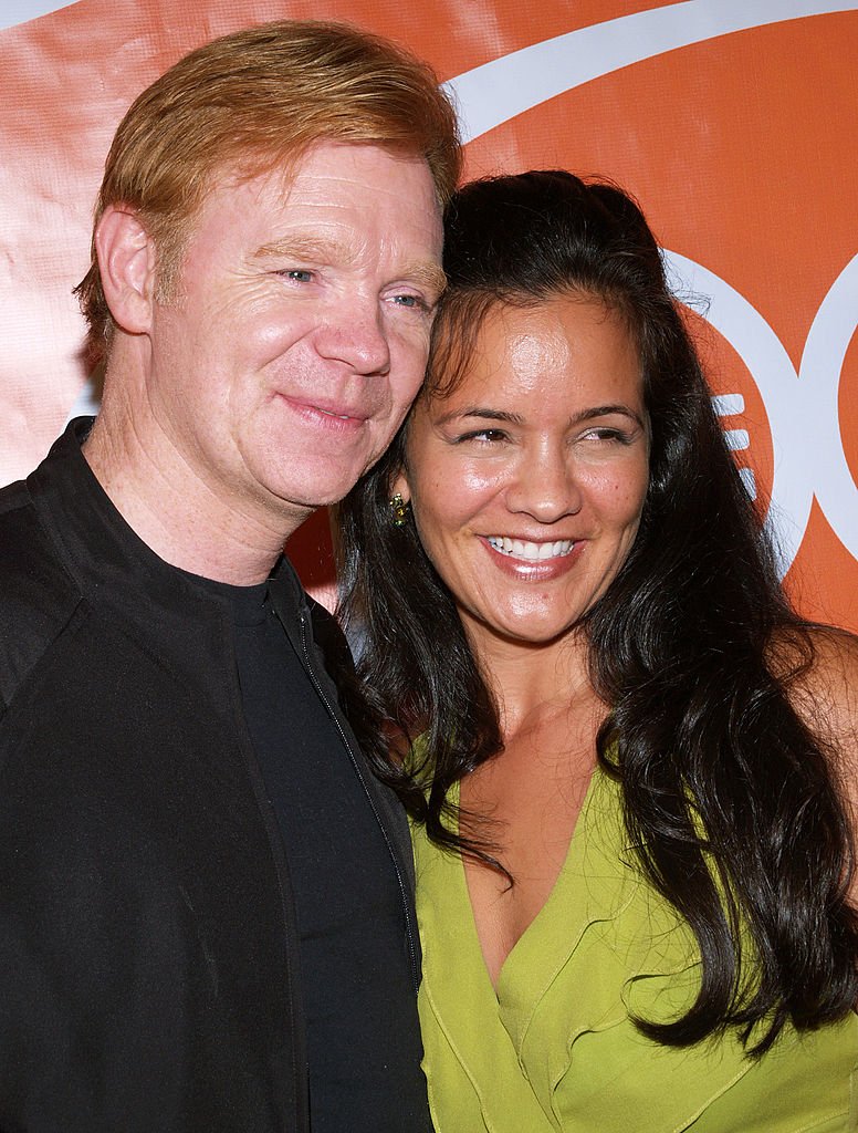 David Caruso's Journey To Success Exploring His Ektefelle Career