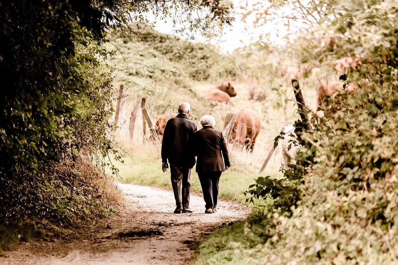 Pareja de ancianos de espaldas en un camino campestre. | Foto: Pixabay
