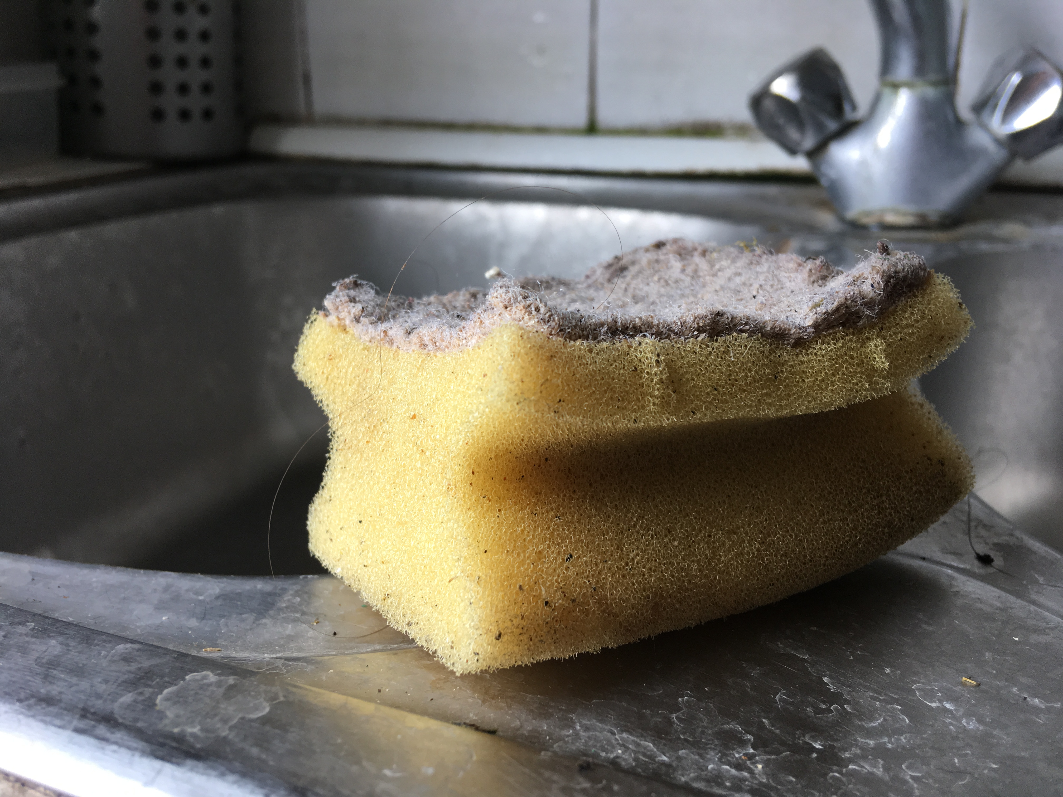 A dirty kitchen sponge | Source: Shutterstock