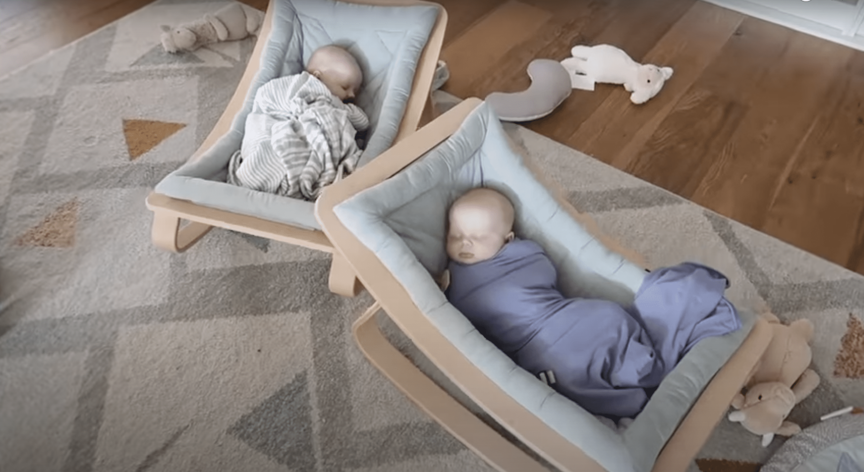 Baby Sylvie and Baby Cosmo pictured taking a nap in their rockers.  |  Source: YouTube.com/Life with Beans
