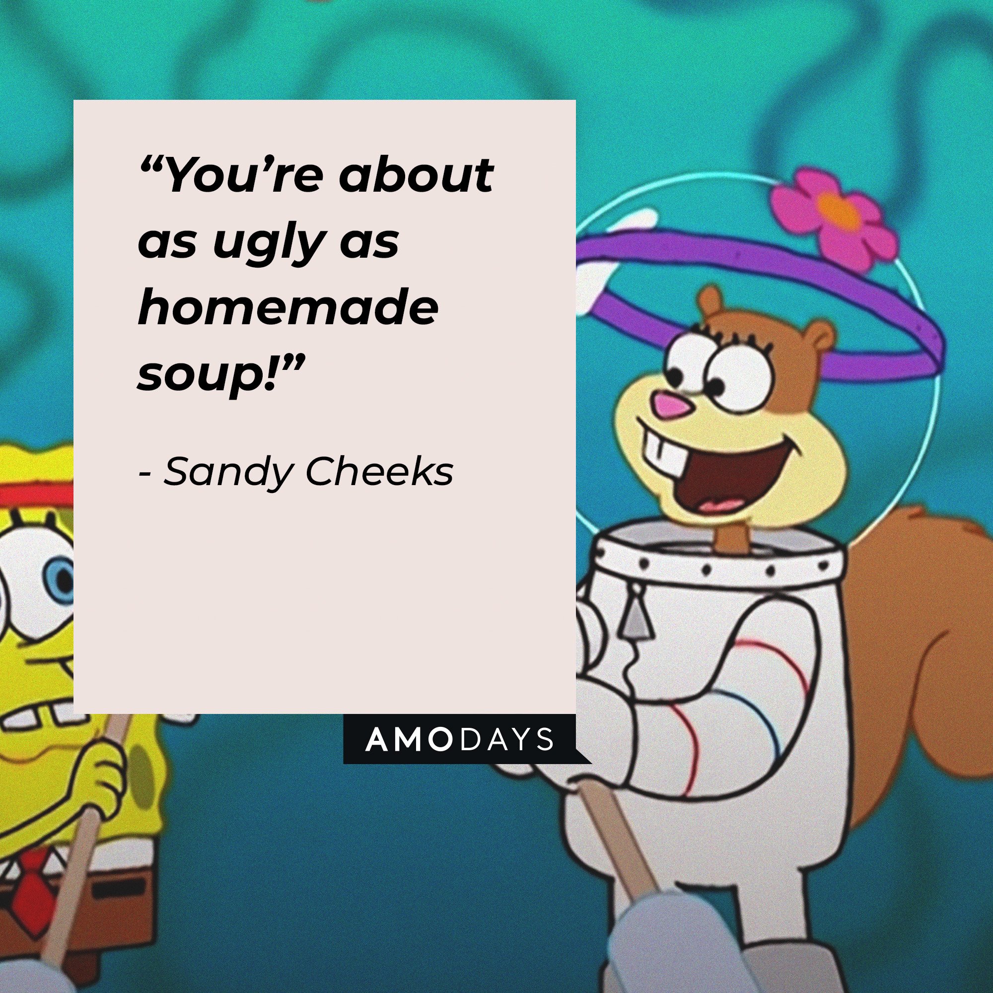 Sandy Cheeks's quote:  “You’re about as ugly as homemade soup!” | Image: AmoDays 