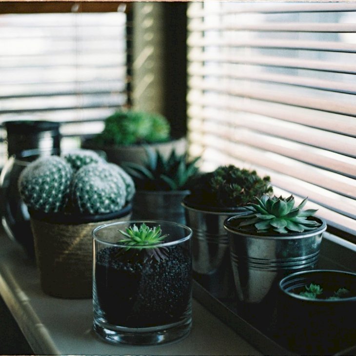 Photo by Milada Vigerova on Unsplash