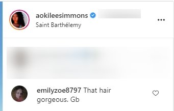 A fan's comment on Aoki Lee's recent picture in a blue dress. | Photo: Instagram/Aokileesimmons