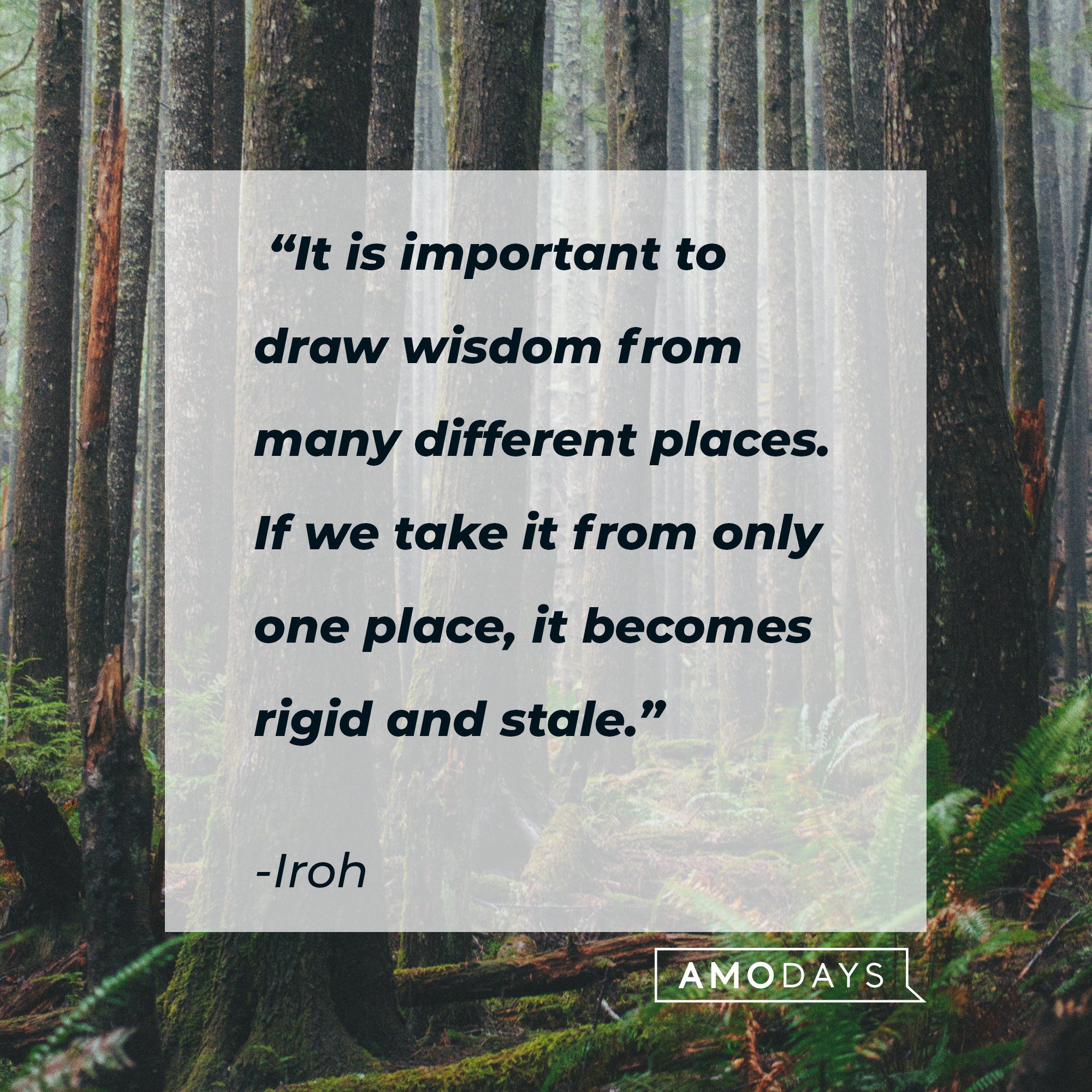 Iroh's quote: “It is important to draw wisdom from many different places. If we take it from only one place, it becomes rigid and stale.” | Image: AmoDays