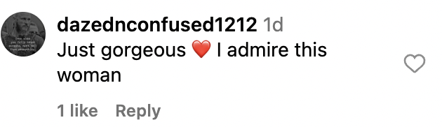 Fan comment dated November 2023 | Source: instagram.com/pamelaanderson
