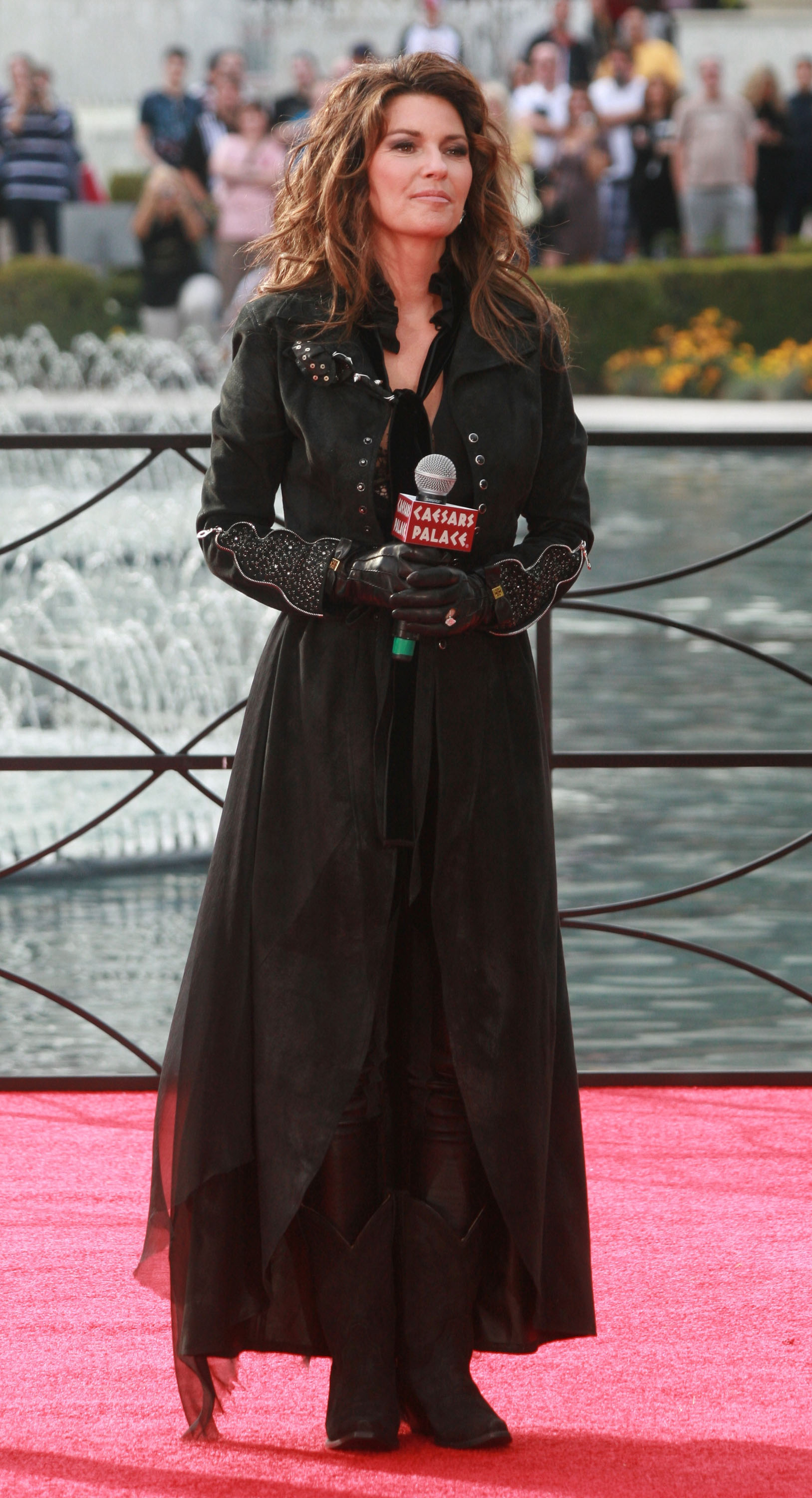 Shania Twain makes a grand entrance at Caesars Palace on November 14, 2012 in Las Vegas, Nevada. | Source: Getty Images