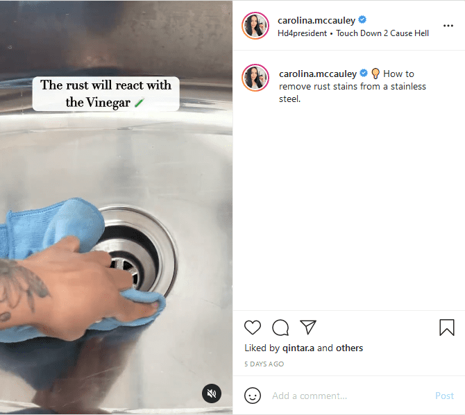 Caroline Macauley Instagram video on how to remove rust on stainless steel | Photo: instagram / carolina.mccauley