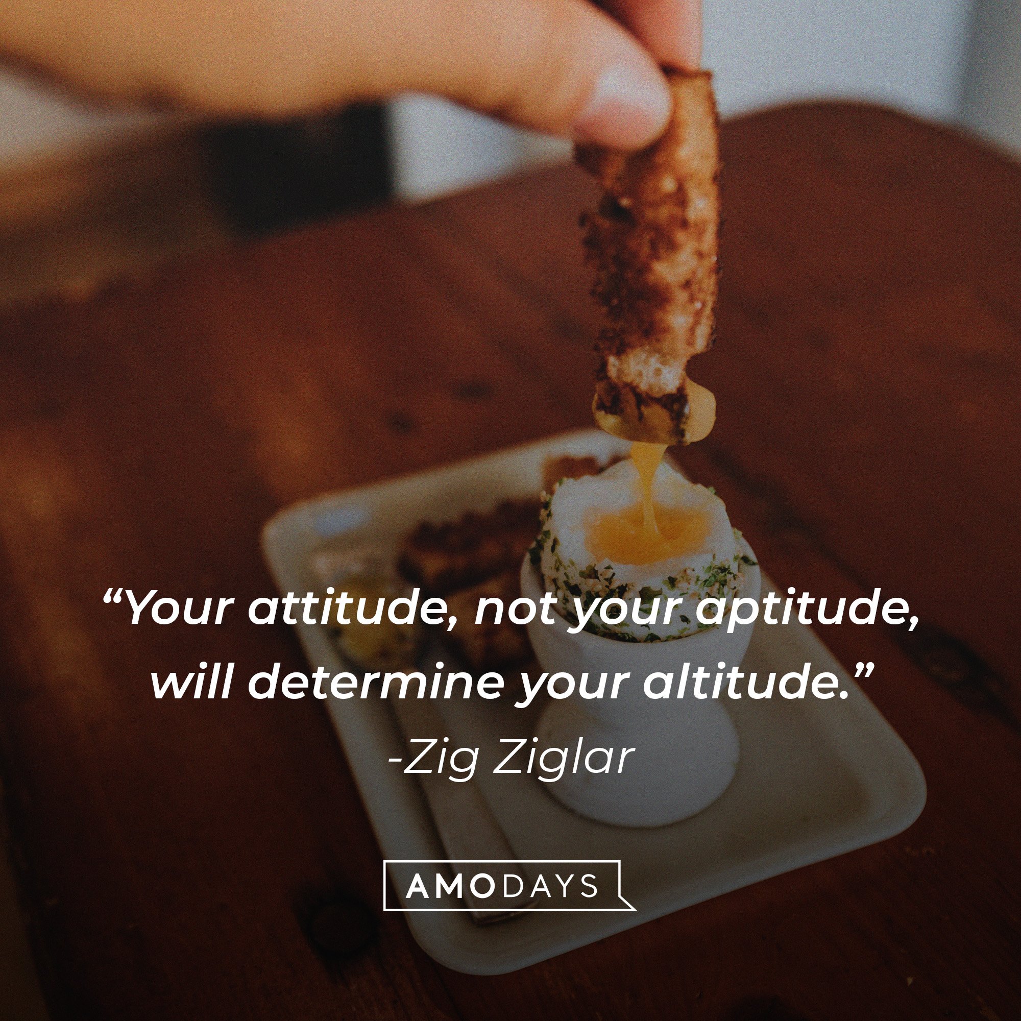 Zig Ziglar's quote: “Your attitude, not your aptitude, will determine your altitude.” | Image: AmoDays 