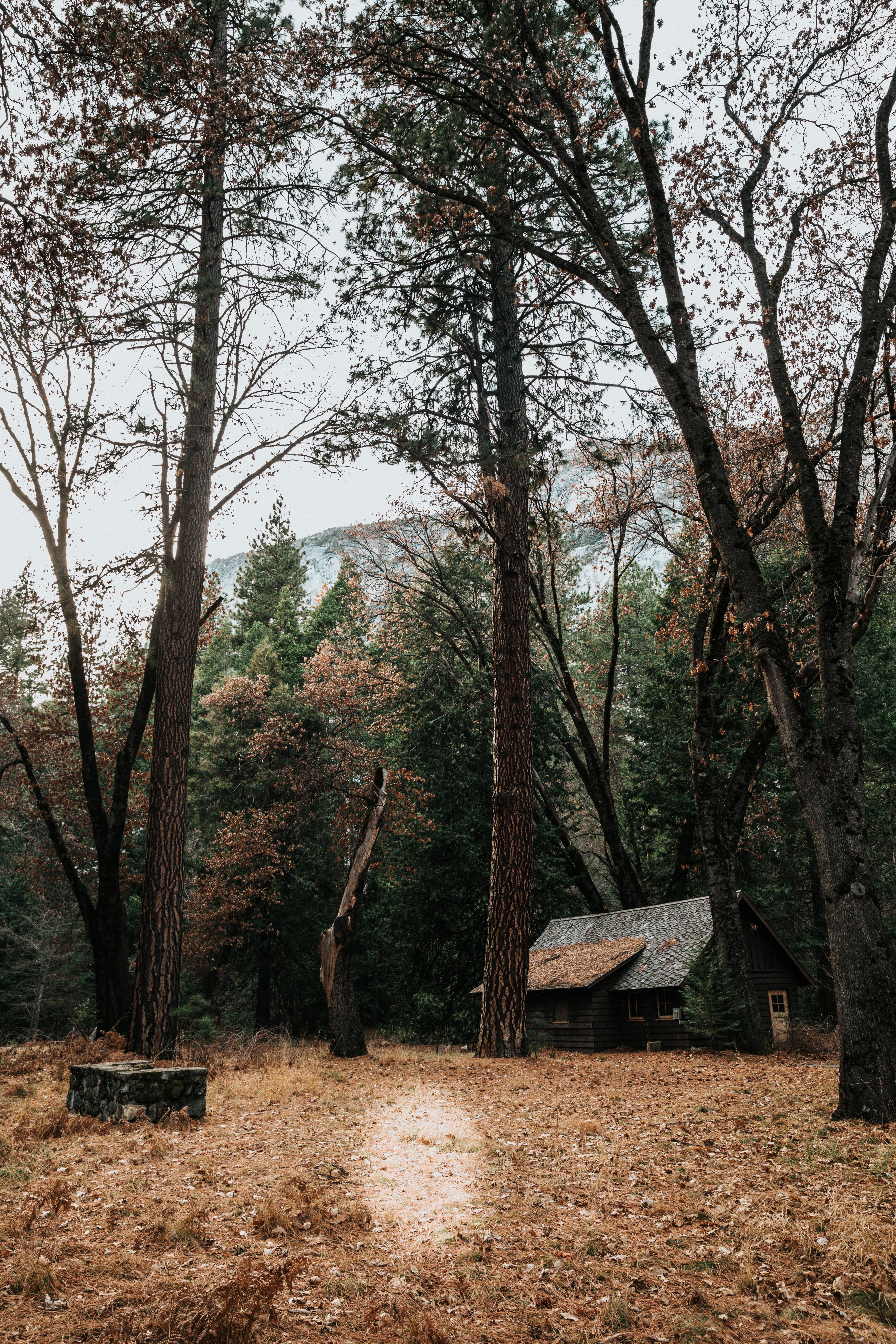 Luke found shelter in a cabin in the woods. | Source: Unsplash