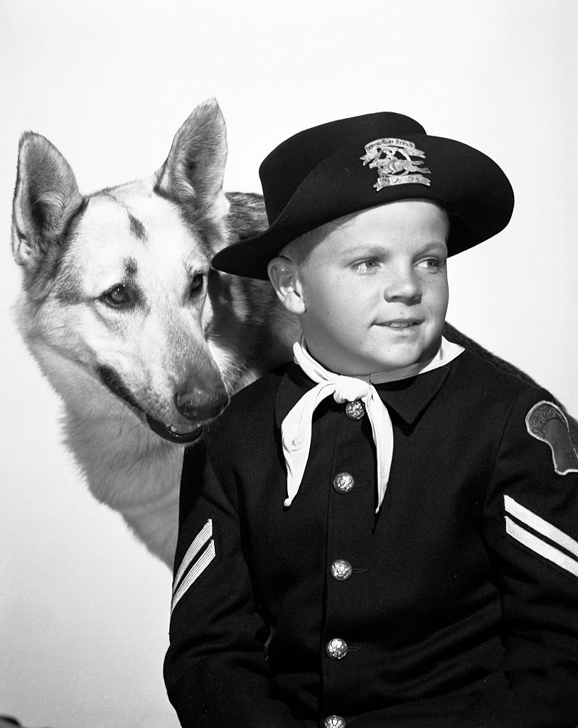 Les Aventures de Rin Tin Tin Rin Tin Tin, Lee Aaker (en tant que Rusty). Image datée du 1er janvier 1955. | Photo : Getty Images