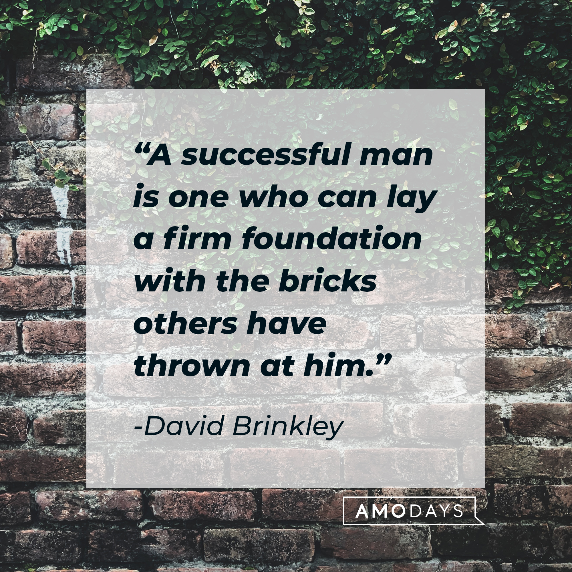 David Brinkley's quote: "A successful man is one who can lay a firm foundation with the bricks others have thrown at him." | Source: Unsplash