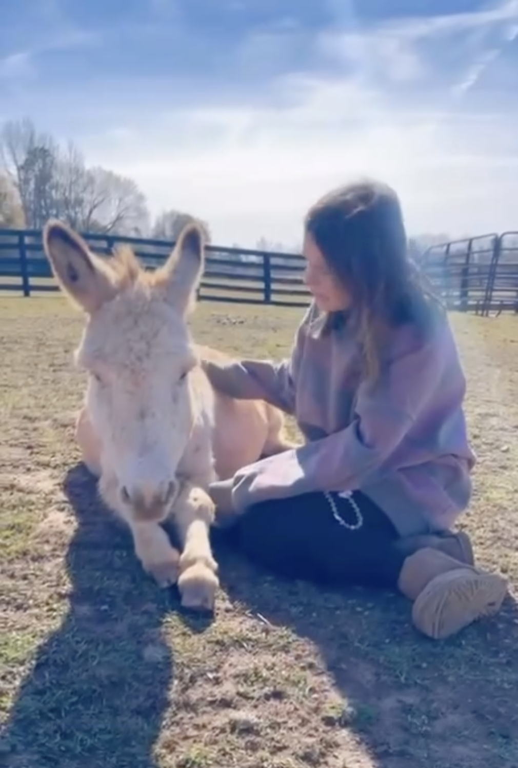 Millie Bobby Brown Bongiovi with one of her farm animals from a post dated August 16, 2024. | Source: Instagram/milliebobbybrown