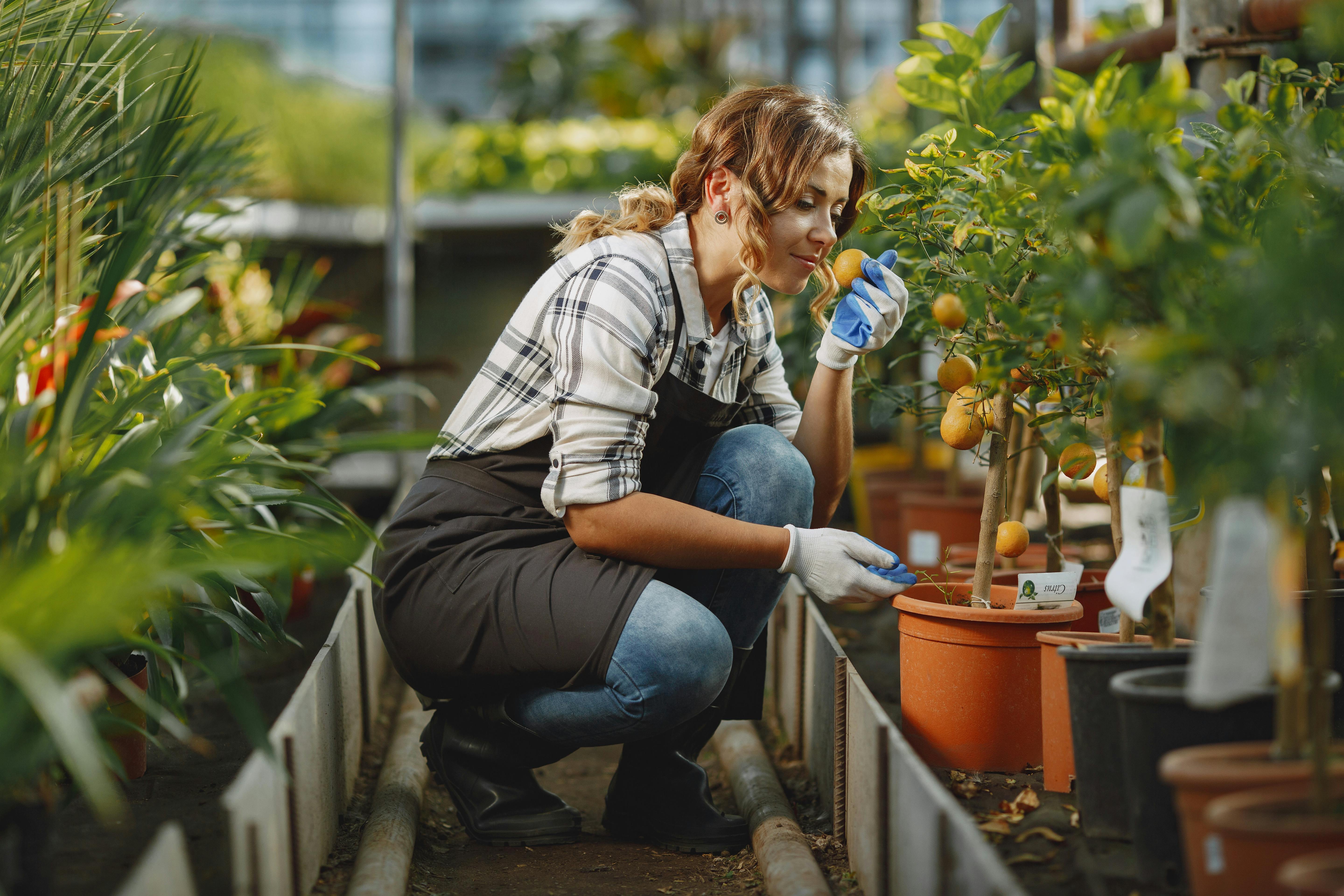 A woman gardening | Source: Pexels