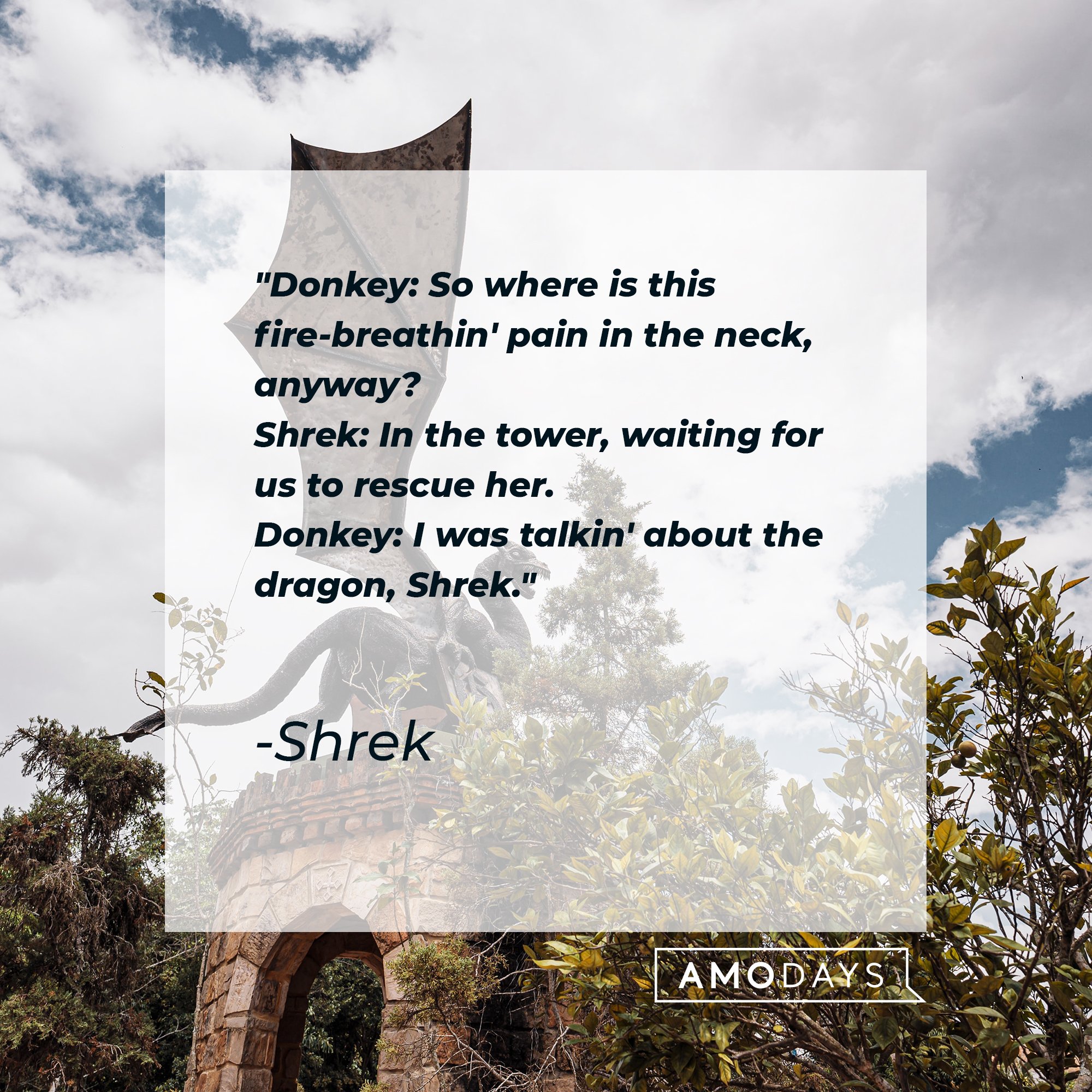 “Shrek” dialogue: "Donkey: So where is this fire-breathin' pain in the neck, anyway?  Shrek: In the tower, waiting for us to rescue her.  Donkey: I was talkin' about the dragon, Shrek." | Image: AmoDays