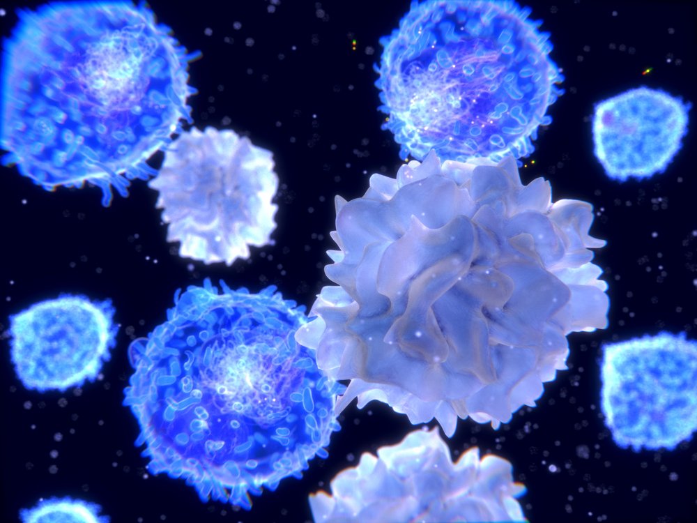 Células dendríticas expresando información antígena para ser procesada por linfocitos T. || Fuente: Shutterstock