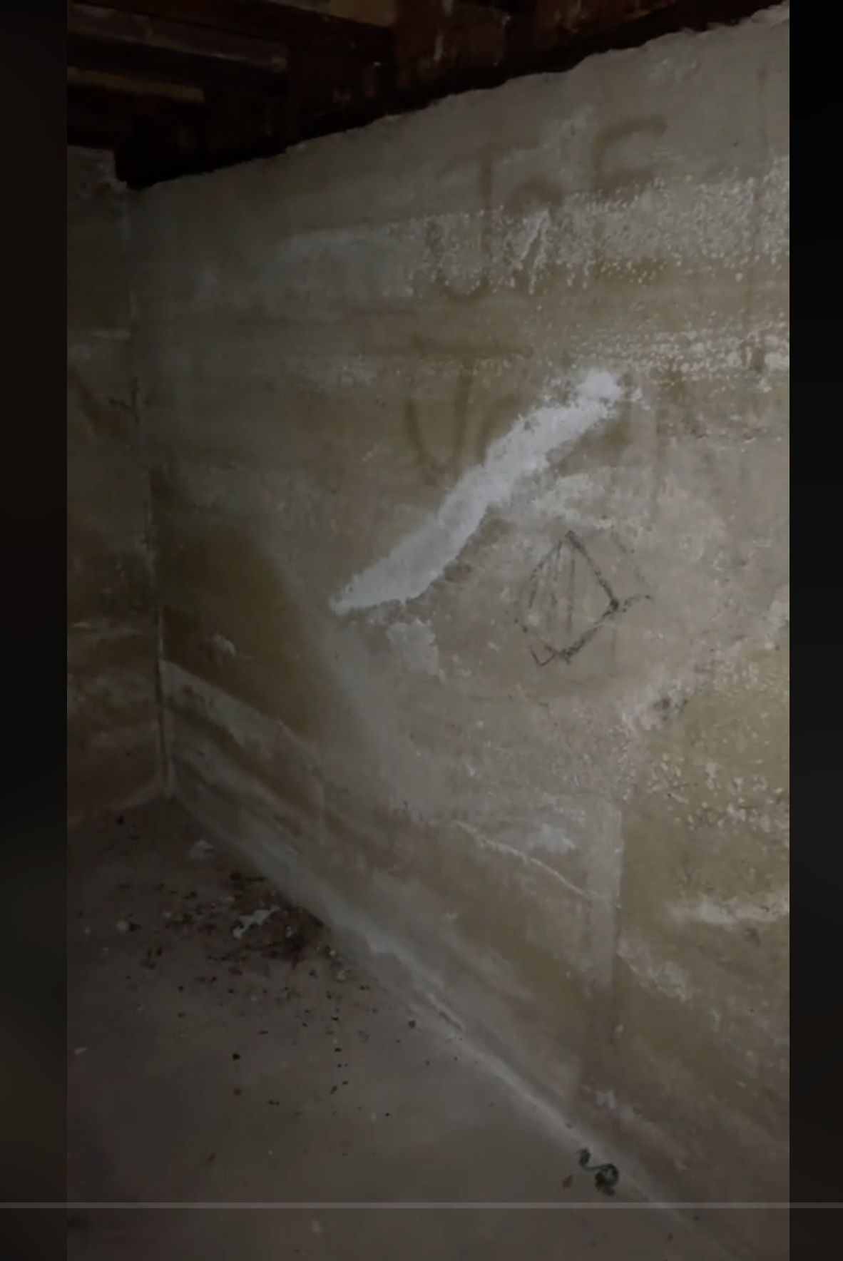 Julia Henning found two names spray-painted on the wall with a creepy symbol underneath, as seen in a video dated June 15, 2023 | Source: tiktok.com/@iamjuliahenning