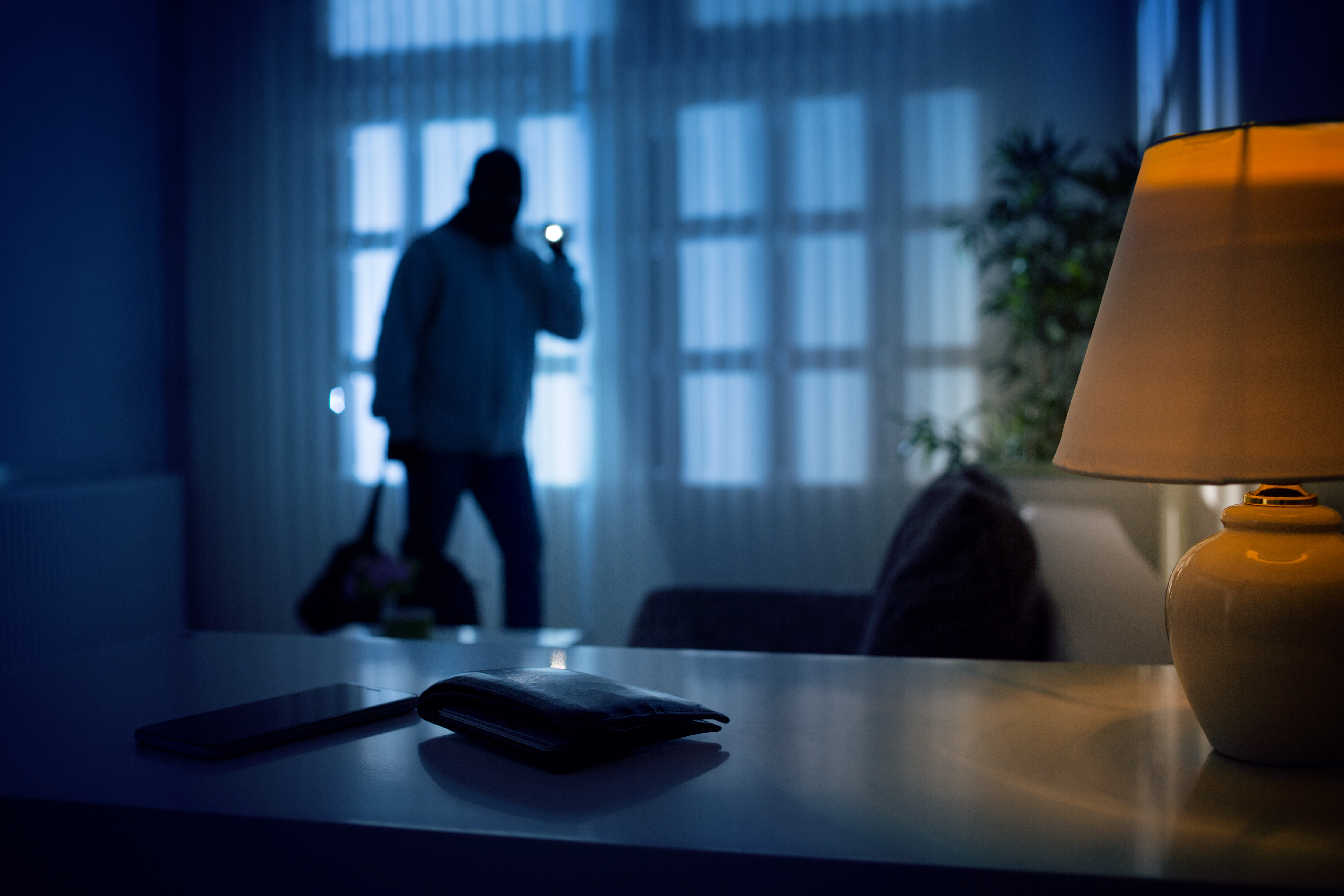 A burglar in a house at night | Source: Shutterstock