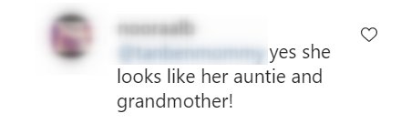 Fan's comment under a picture post of Oliver Hudson and his daughter Rio, on Goldie Hawn's Instagram page. | Photo: Instagram/@goldiehawn
