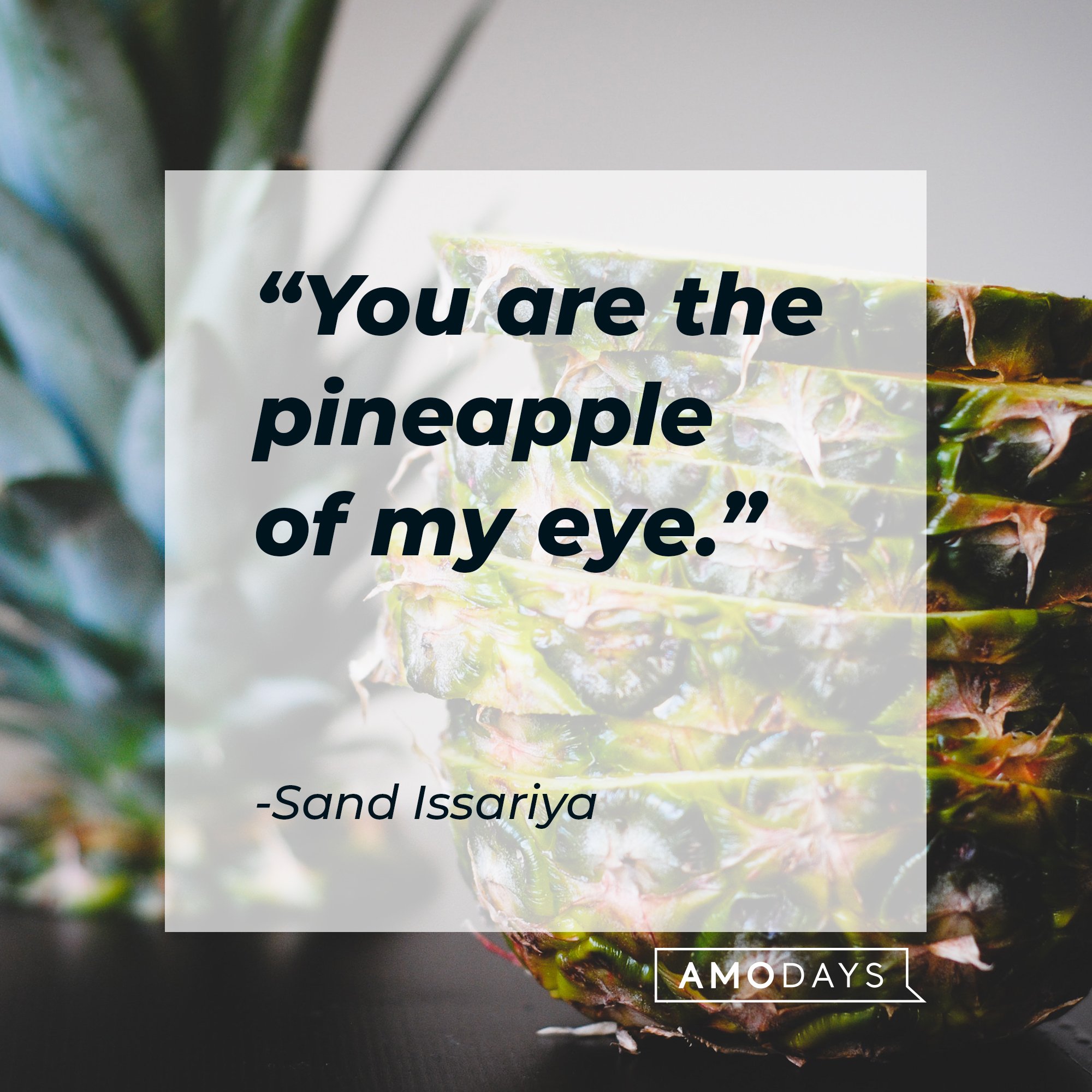 Sand Issariya's quote: "You are the pineapple of my eye." | Image: AmoDays