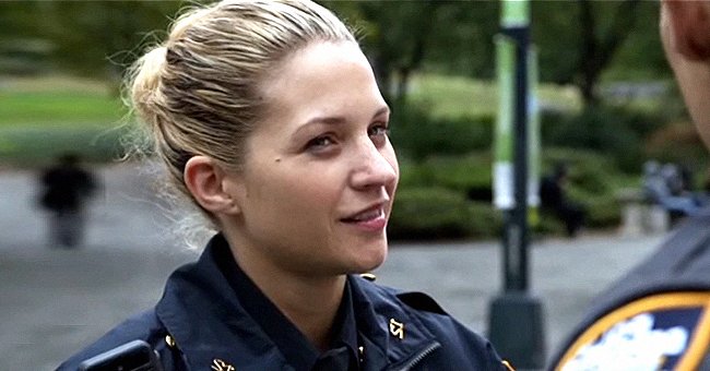 'Blue Bloods' Fans Adore Jamko's Crime-fighting Dog & Rave about the