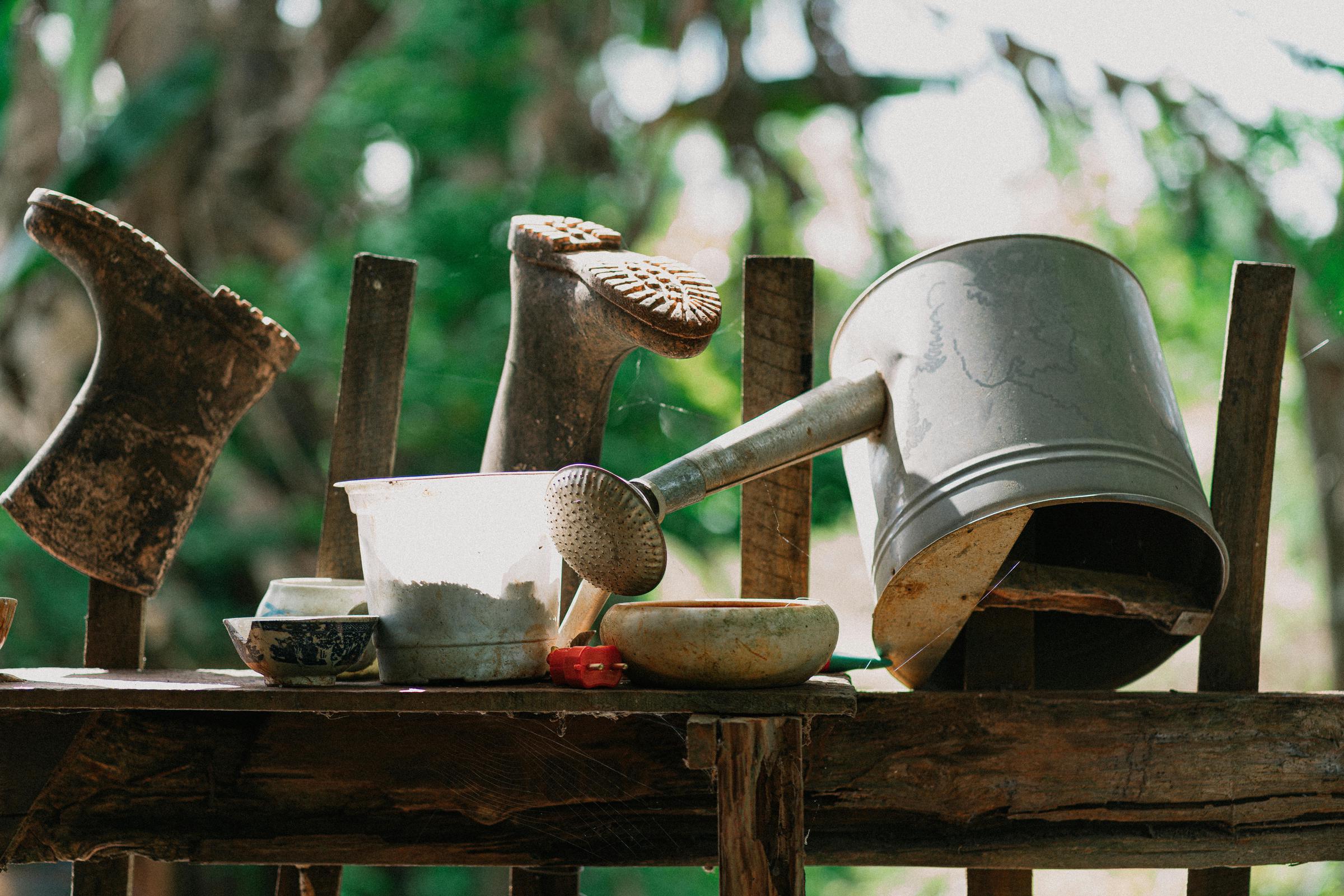 Gardening tools | Source: Pexels