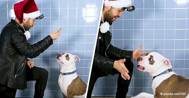 Magician plays a trick to cheer shelter dogs and they have the funniest reactions