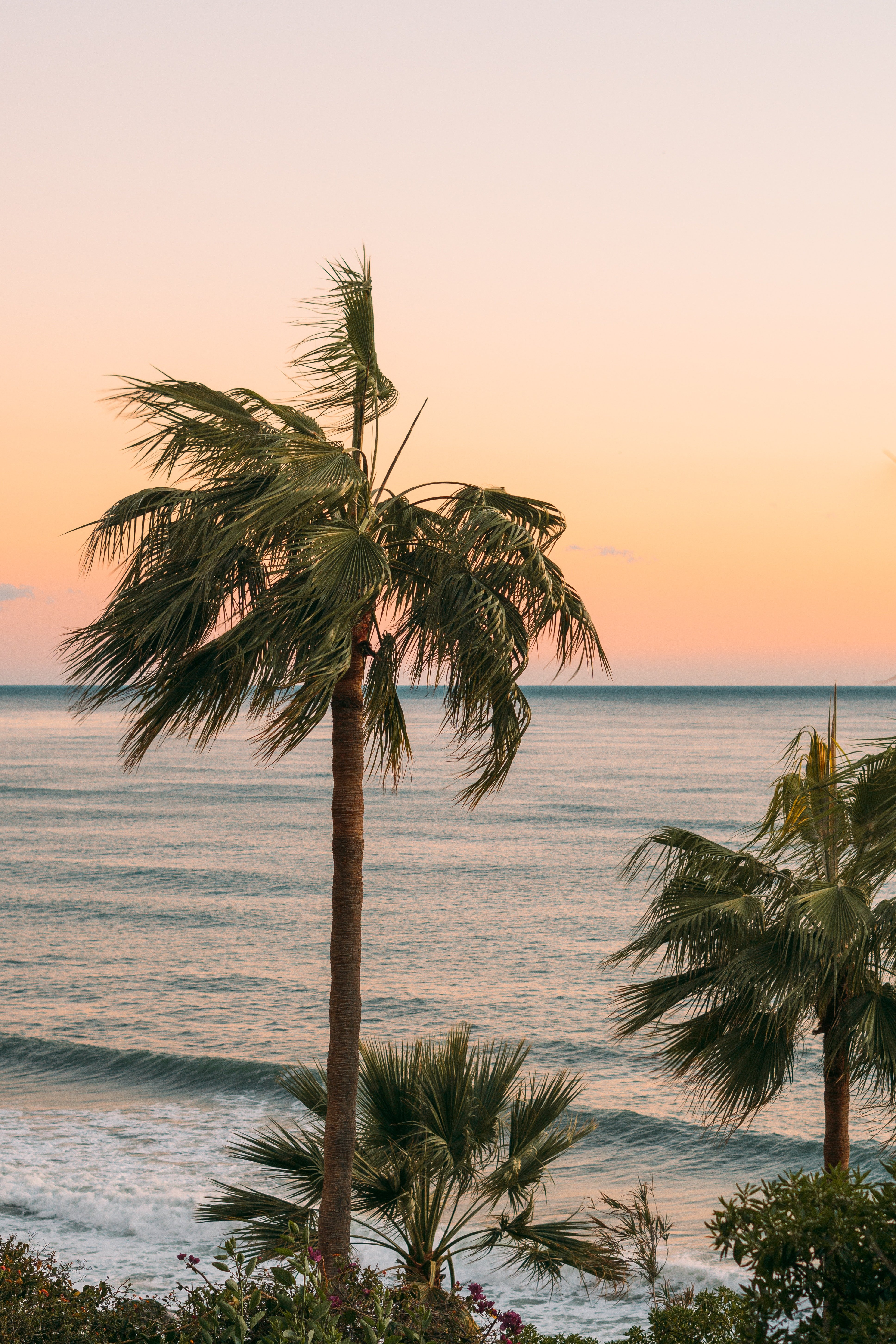 A beautiful beachside. | Source: Pexels/Adrianna