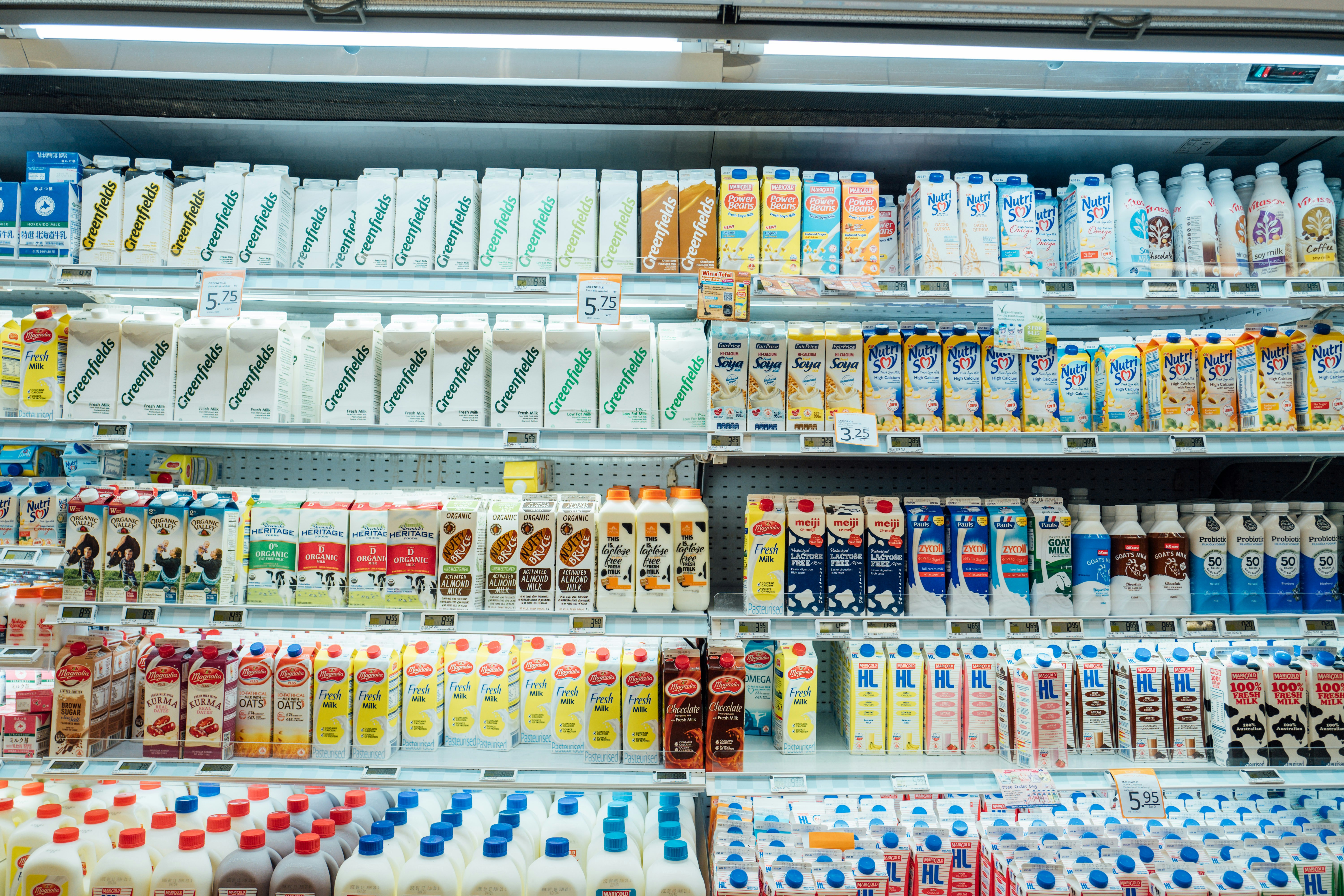 Milk products in a grocery store fridge | Source: Unsplash