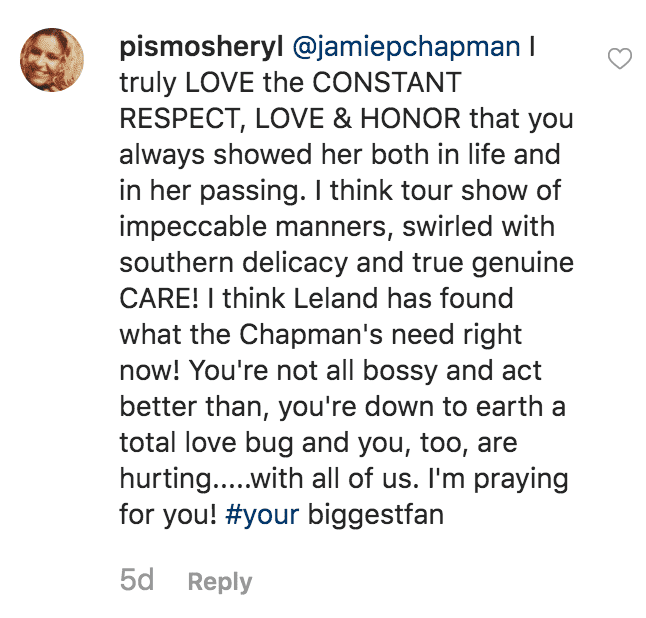 Fan comment's on Jamie Pillar Chapman's post in honor of "Dog's Most Wanted" final episode | Source: Instagram.comjamiepchapman