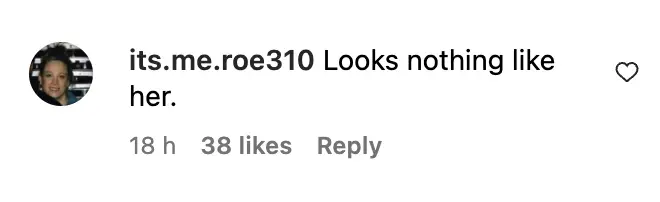 A comment left on an Instagram photo dated November 27, 2023 | Source: instagram.com/extratv/