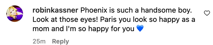 Fan comment about Paris Hilton's baby, dated October 19, 2023 | Source: Instagram/parishilton