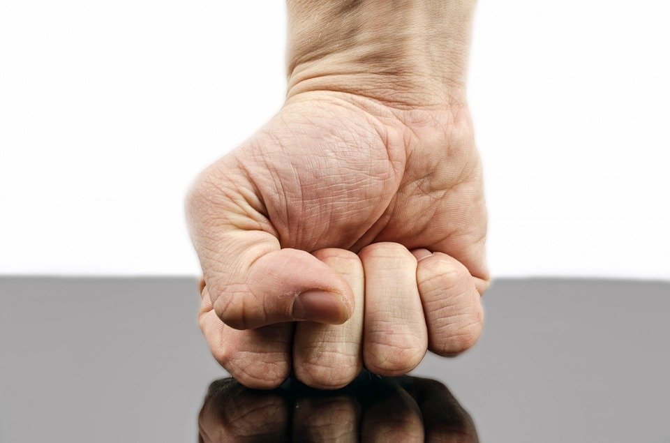 Male fist. l Image: Pixabay.