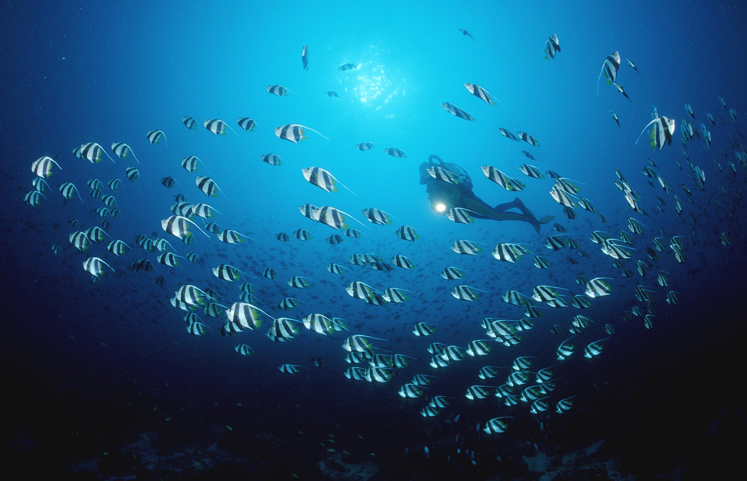 For illustration purposes: Maldives Island, Indian Ocean, Ari Atoll | Source: Getty Images
