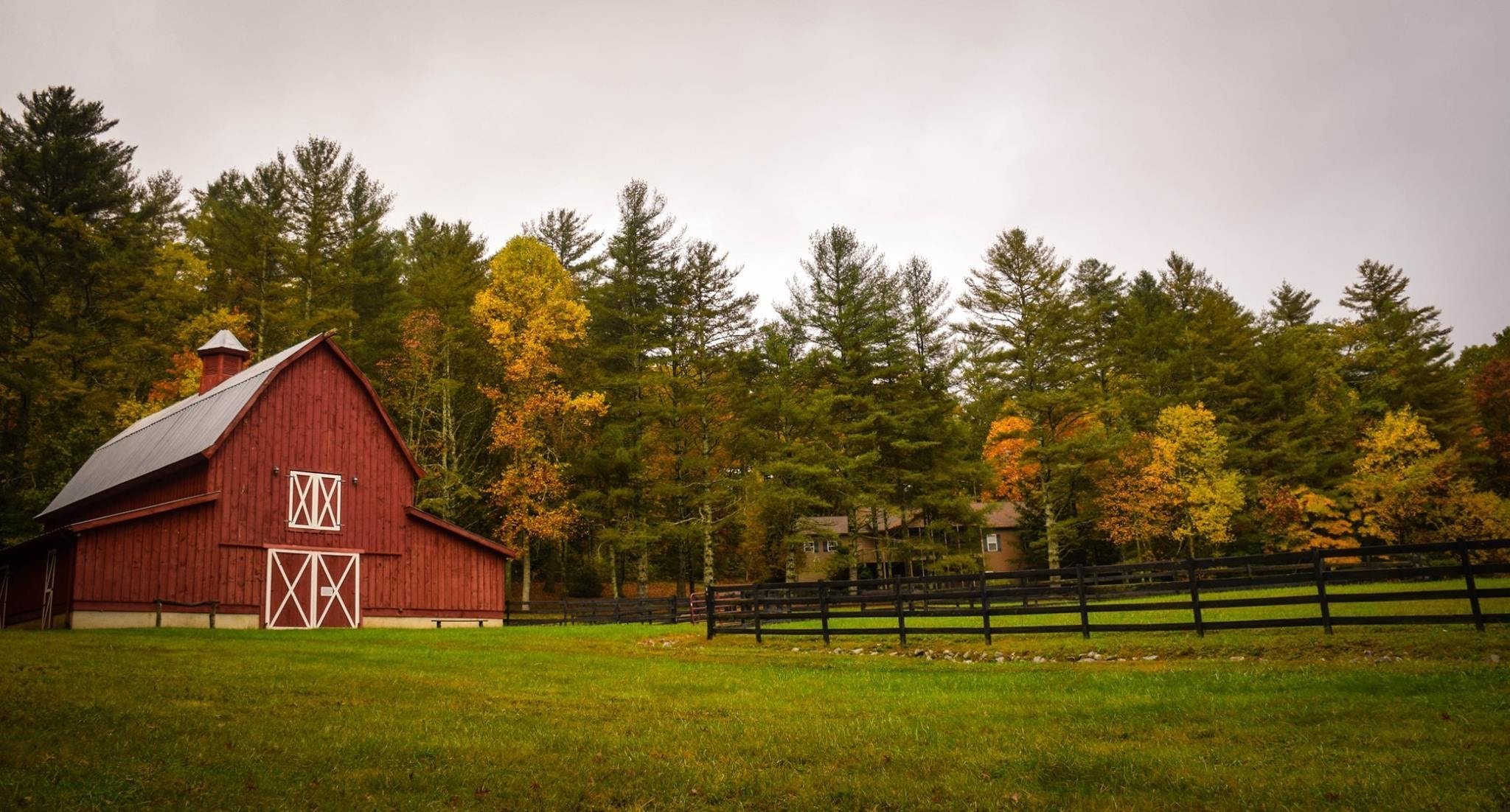A barn beside a forest | Source: Unsplash.com