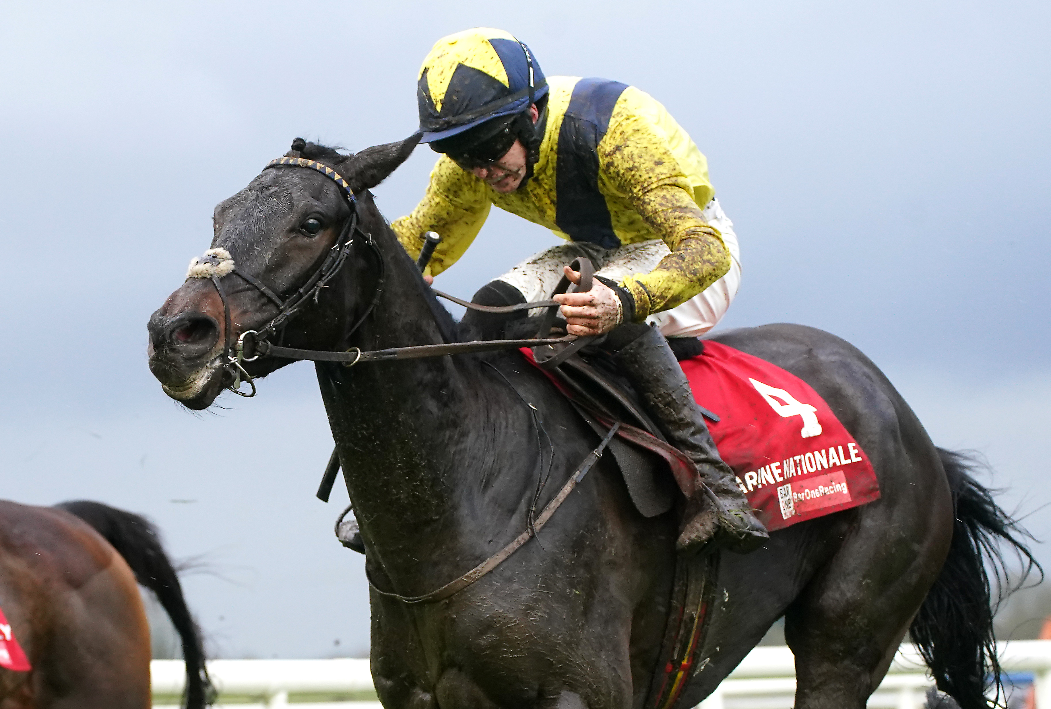 Marine Nationale ridden by jockey Michael O'Sullivan wins the Bar One Racing Royal Bond Novice Hurdle on day two of the Winter Festival at Fairyhouse Racecourse, County Meath, on December 4, 2022 | Source: Getty Images