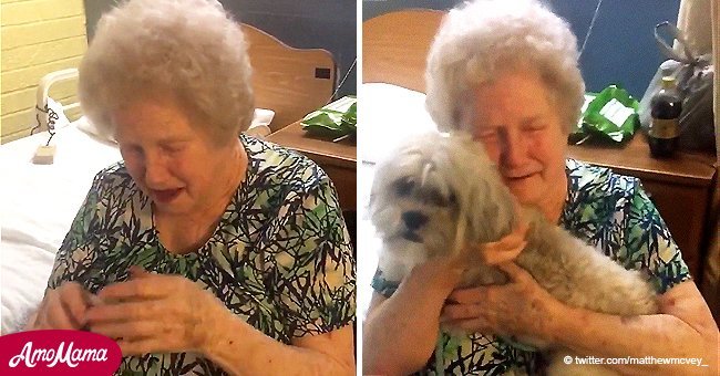 Lonely grandma whose husband and dog passed away bursts into tears at surprise