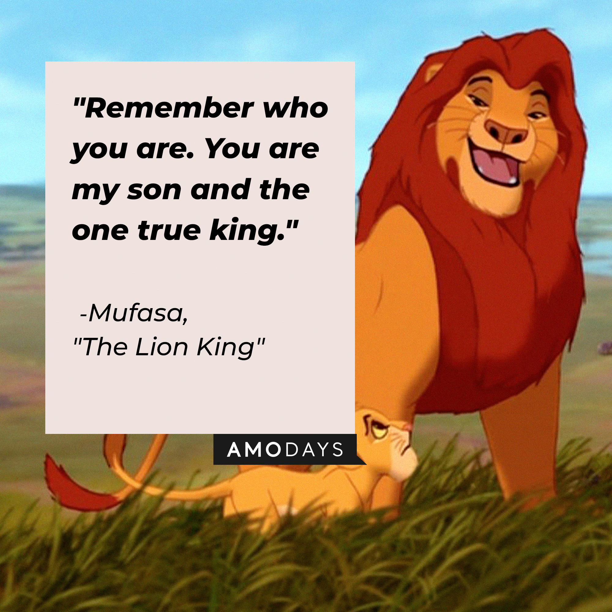 Mufasa with his quote: "Remember who you are. You are my son and the one true king." | Source: Facebook.com/DisneyTheLionKing