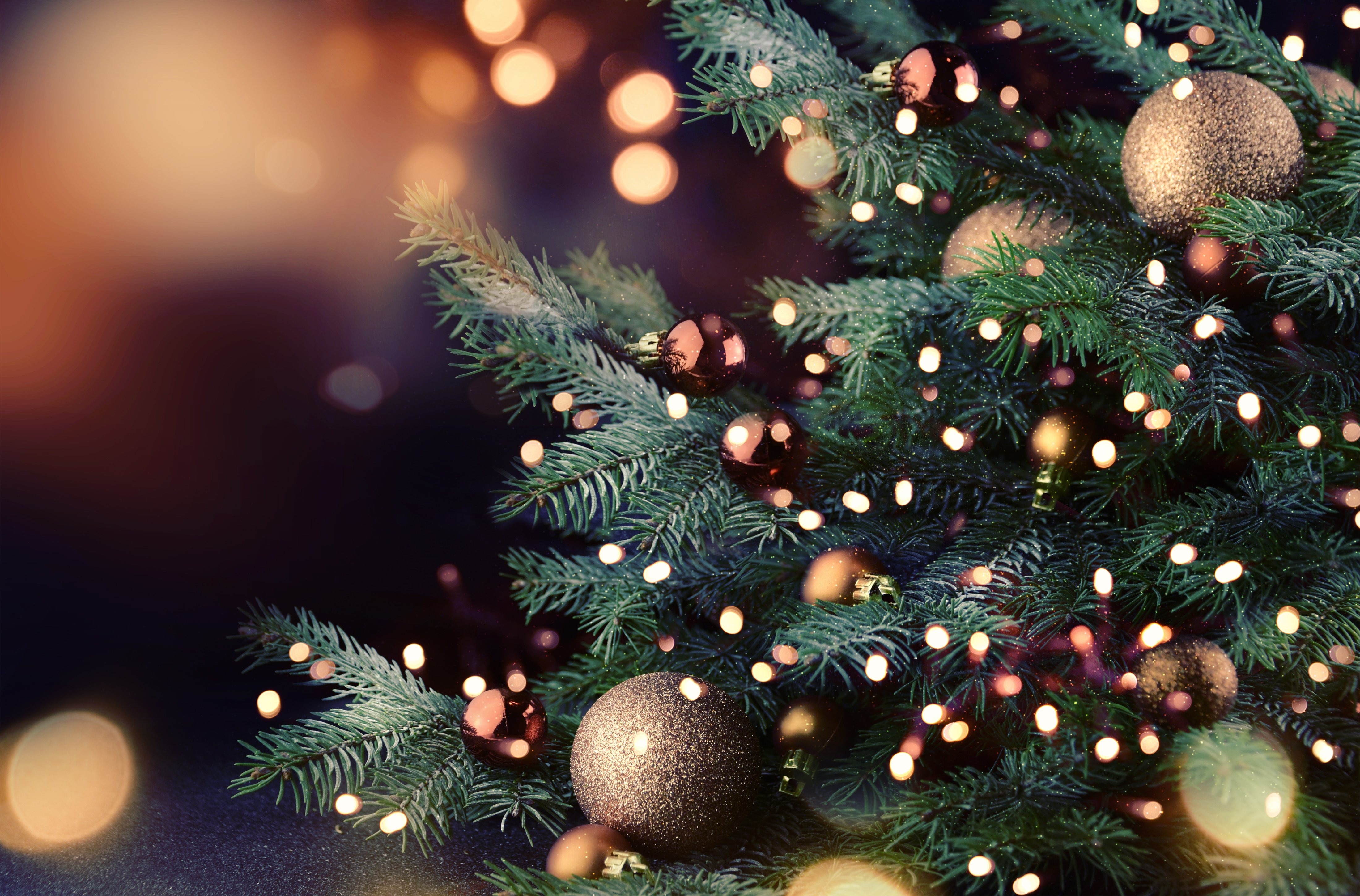 Christmas Tree with lights | Photo: Shutterstock