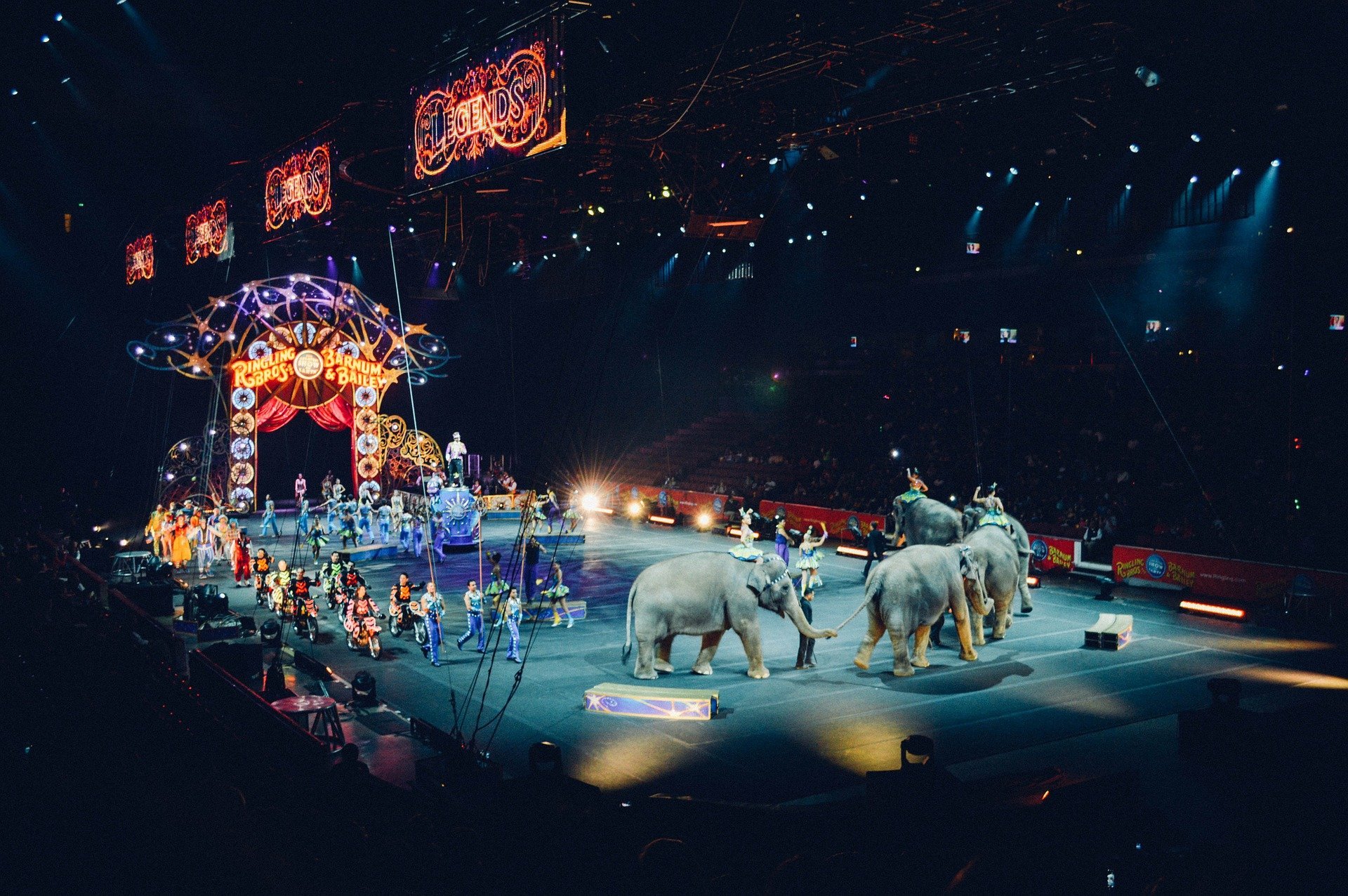 Circus arena with elephants. | Source: Pixabay