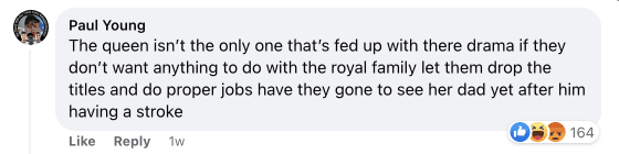 A fan reacts to reports that the Queen is fed up with Harry and Meghan's drama | Source: Facebook/ Daily Mail