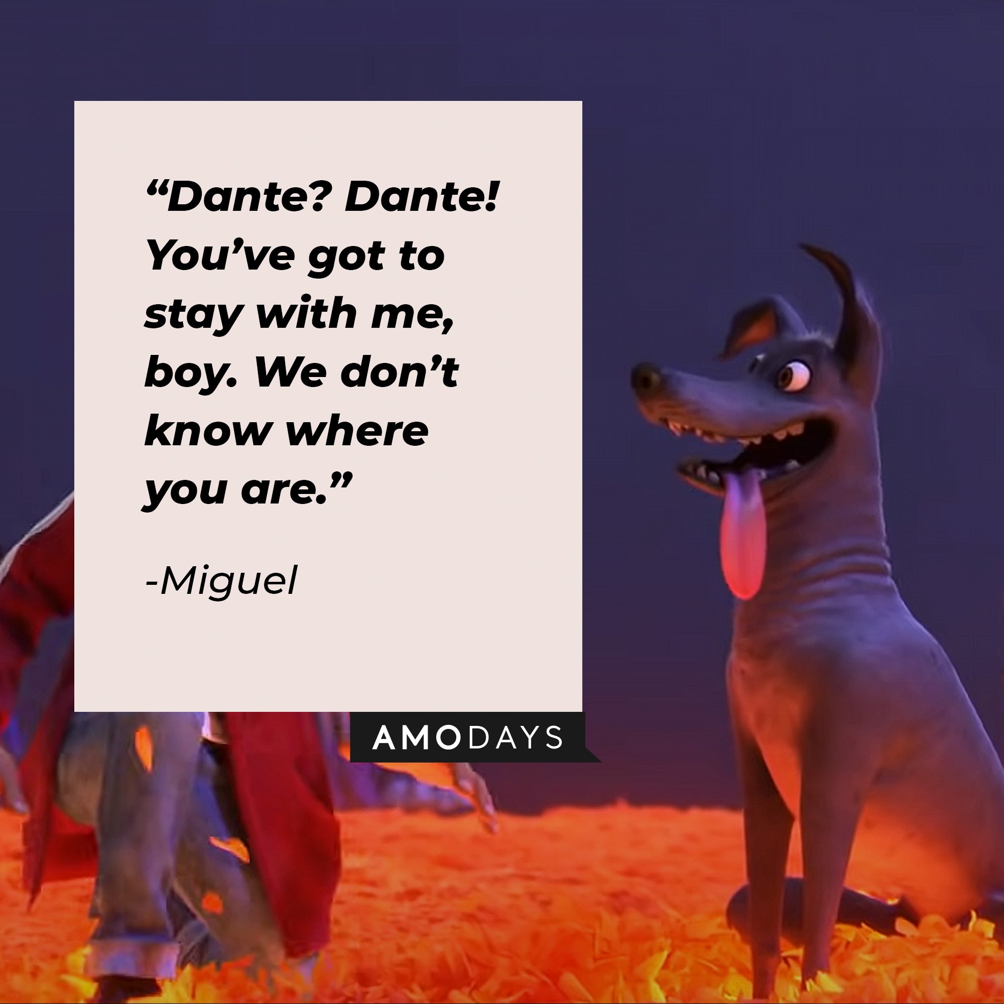   Miguel's quote: “Dante? Dante! You’ve got to stay with me, boy. We don’t know where you are.” | Image: AmoDays