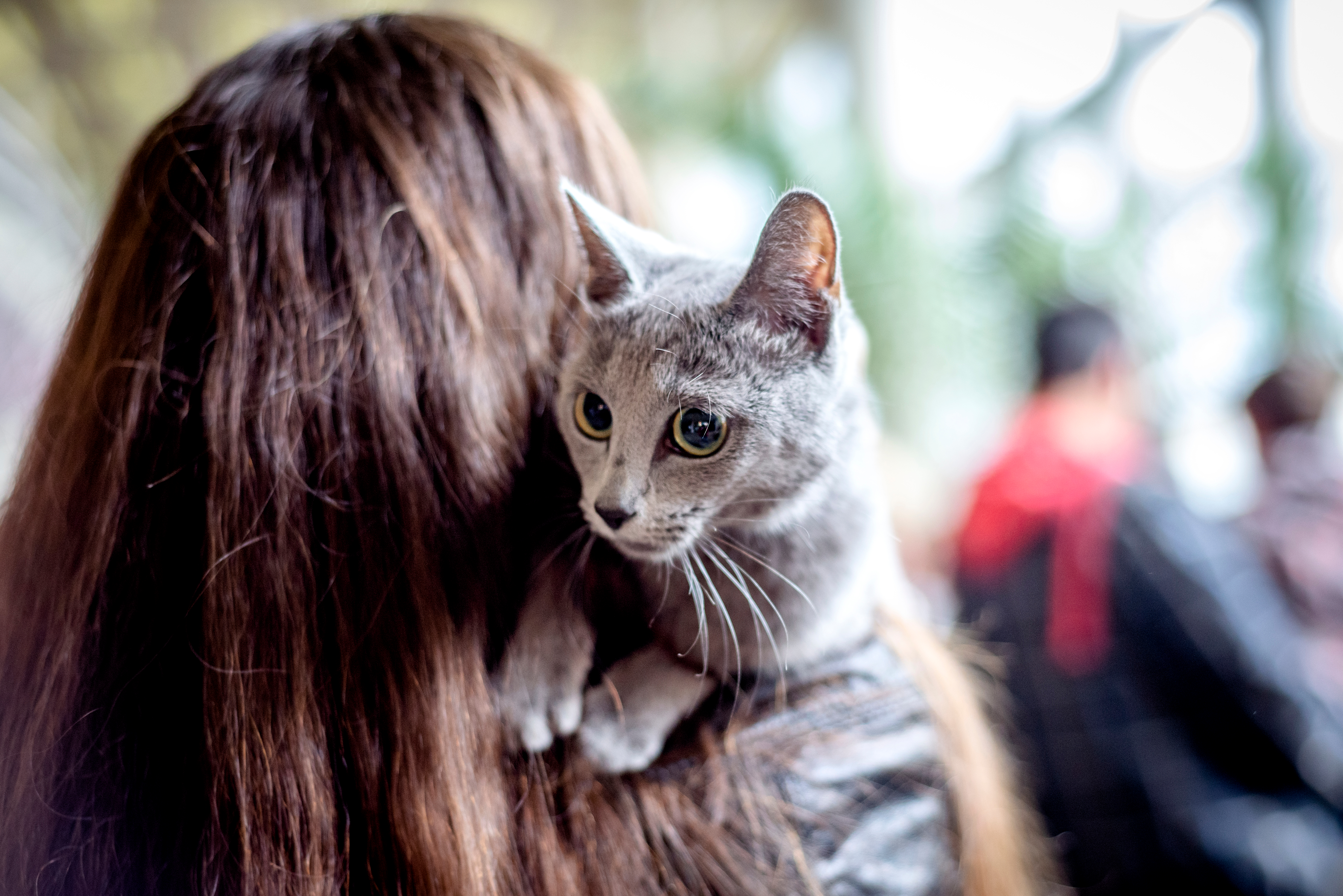 A girl carrying a cat | Source: Shutterstock
