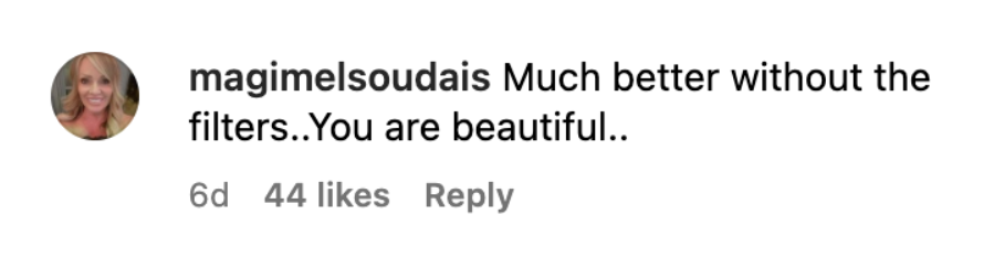 A fan's comment on Christie Brinkley's Instagram post about aging on June 28, 2023 | Source: Instagram/christiebrinkley