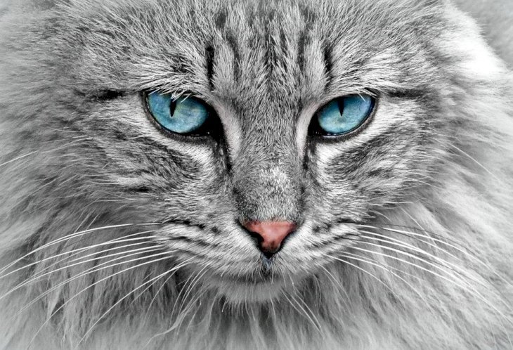 Quelle: Pixabay
