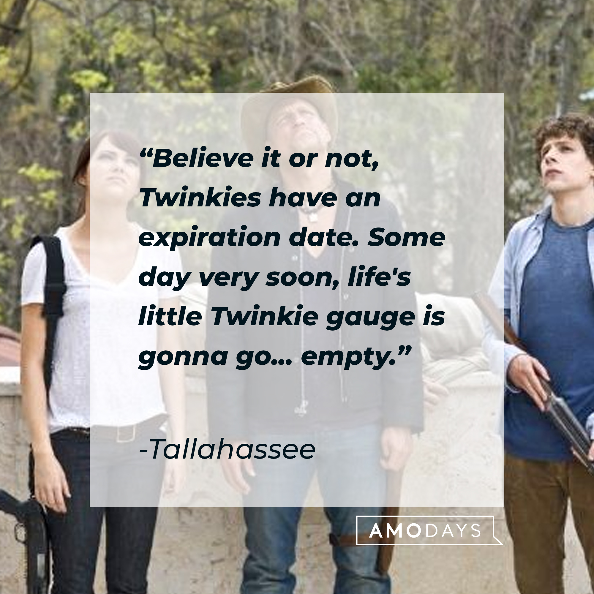 Tallahassee's quote: "Believe it or not, Twinkies have an expiration date. Some day very soon, life's little Twinkie gauge is gonna go... empty." | Source: Facebook.com/Zombieland