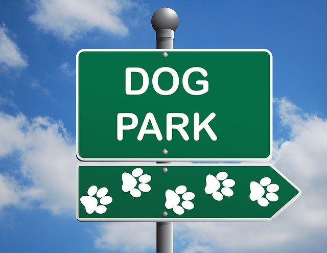Green sign saying "Dog Park" | Photo: Pixabay