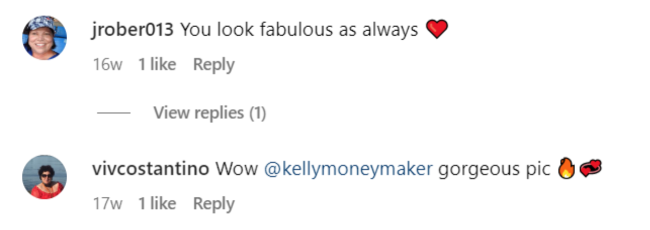 A fan's comment on Kelly Moneymaker's Instagram. | Source: Instagram.com/KellyMoneymaker