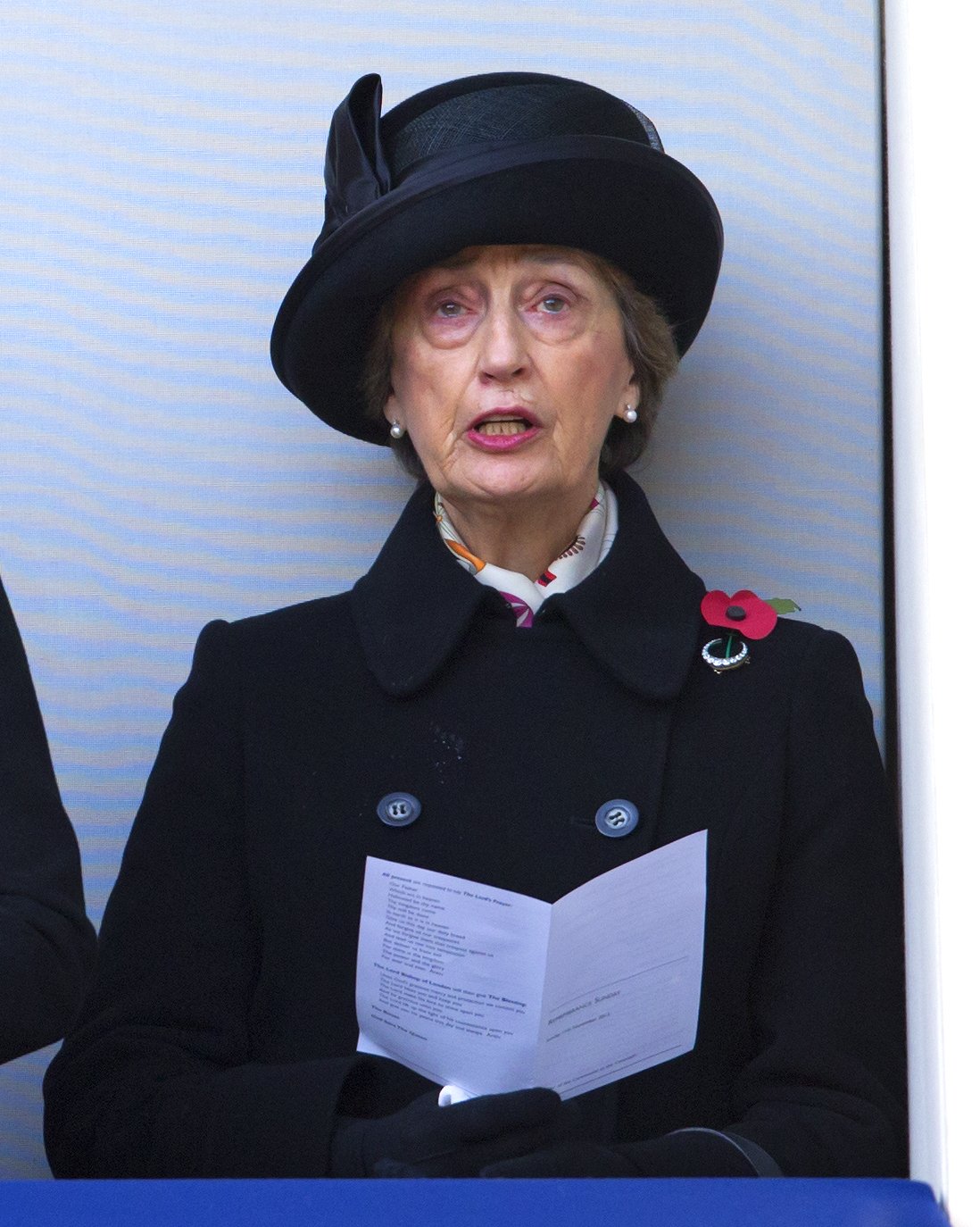 Lady Susan Hussey attends the annual Remembrance Sunday Service at the Cenotaph, Whitehall on November 11, 2012 in London, England | Photo: Getty Images